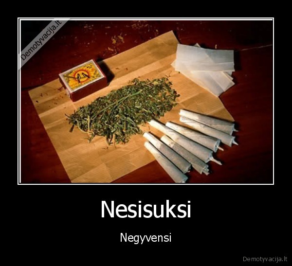 Nesisuksi