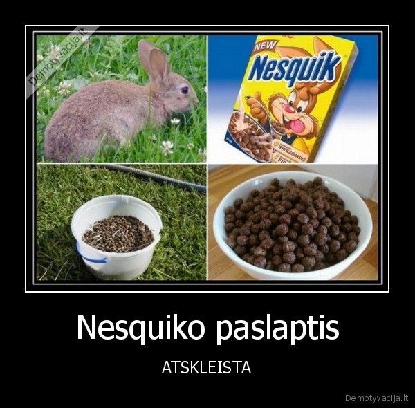 Nesquiko paslaptis