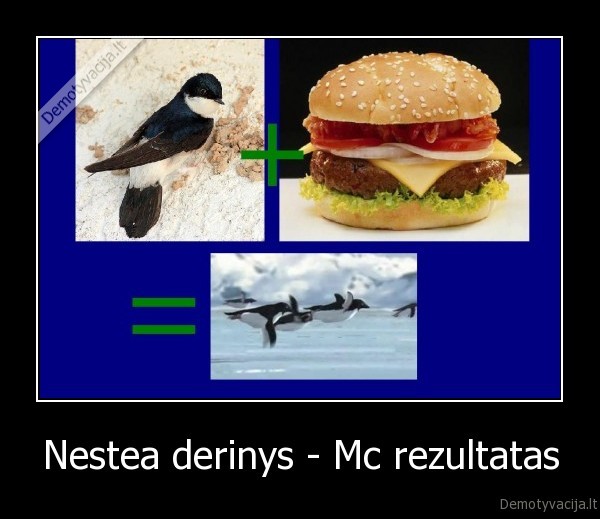 Nestea derinys - Mc rezultatas