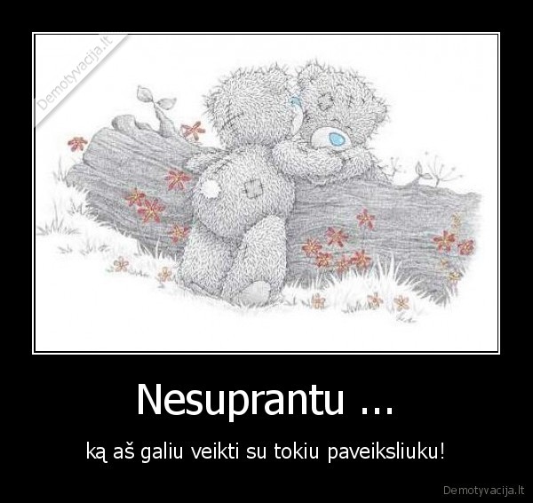 teddy,ka, man, veikti, su, teddy