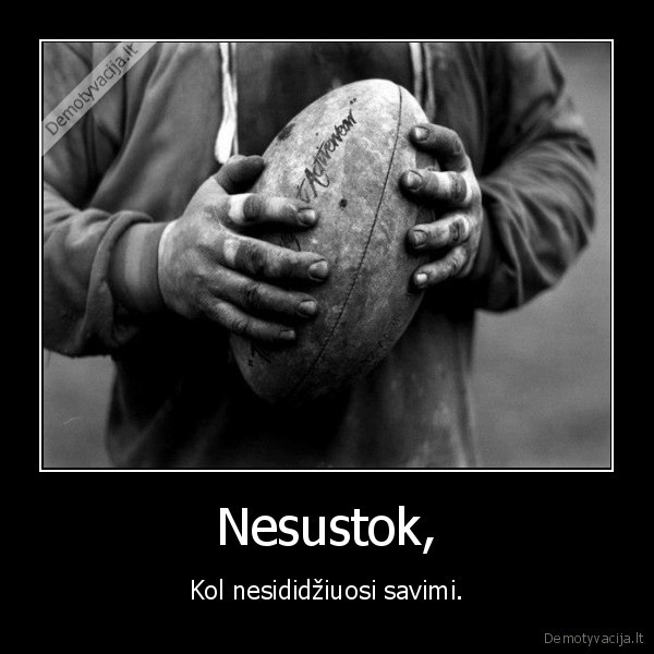 Nesustok,