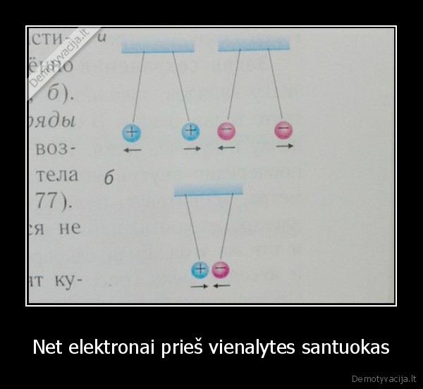 Net elektronai prieš vienalytes santuokas