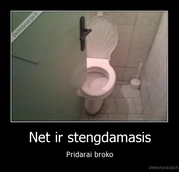 Net ir stengdamasis