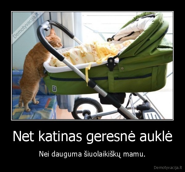 mama,katinas,aukleja