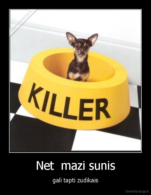 Net  mazi sunis