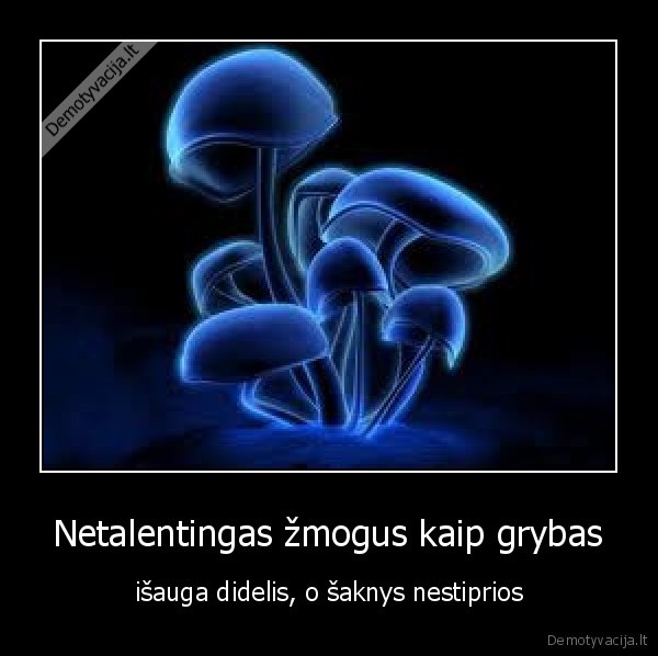 Netalentingas žmogus kaip grybas