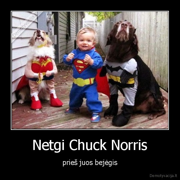 chuck, norris,super, heroes,kubilius,justinas, bebras, lox