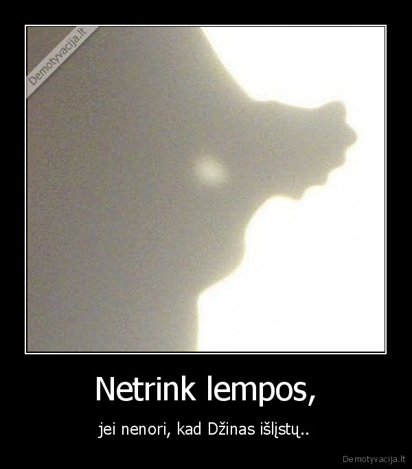 Netrink lempos,