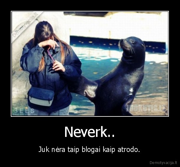 Neverk..