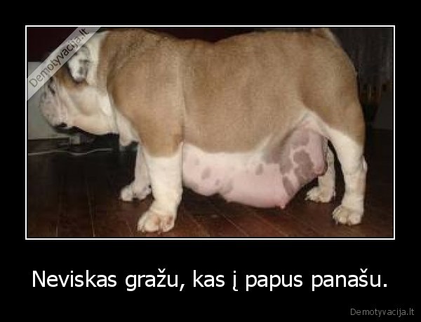 Neviskas gražu, kas į papus panašu.