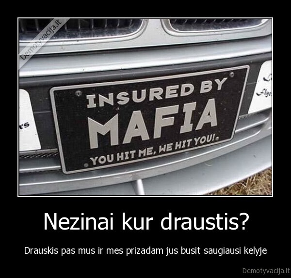 mafija, draudimas, whatever