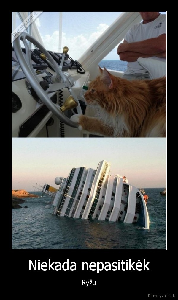ryzas, katinas,laivo, avarija