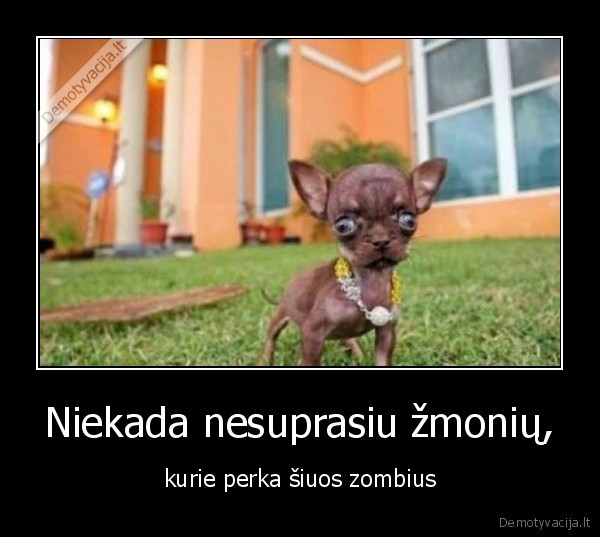 zombis,suo