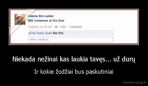 osama, bin, laden, facebook