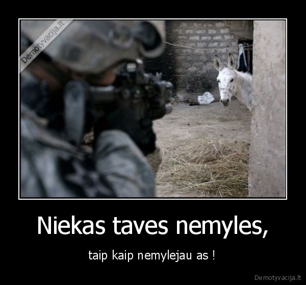 Niekas taves nemyles,