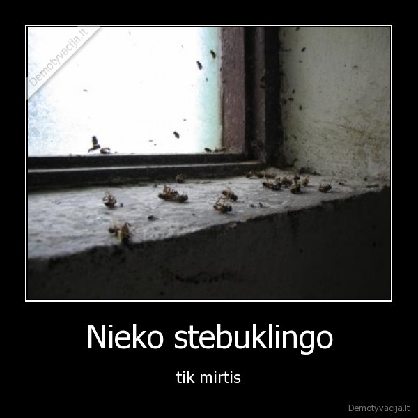 Nieko stebuklingo