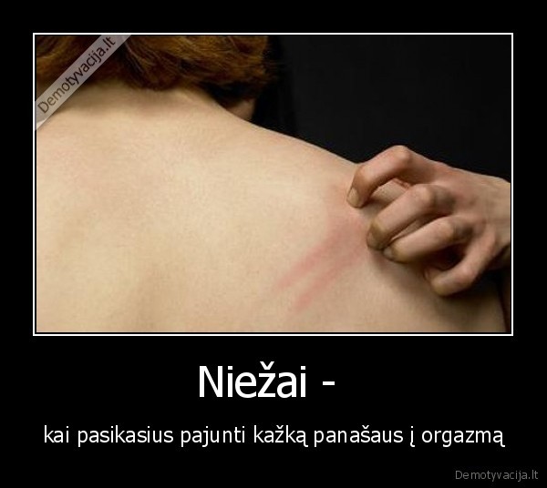 Niežai - 