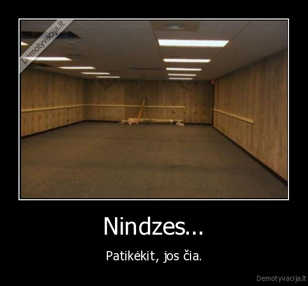 Nindzes...