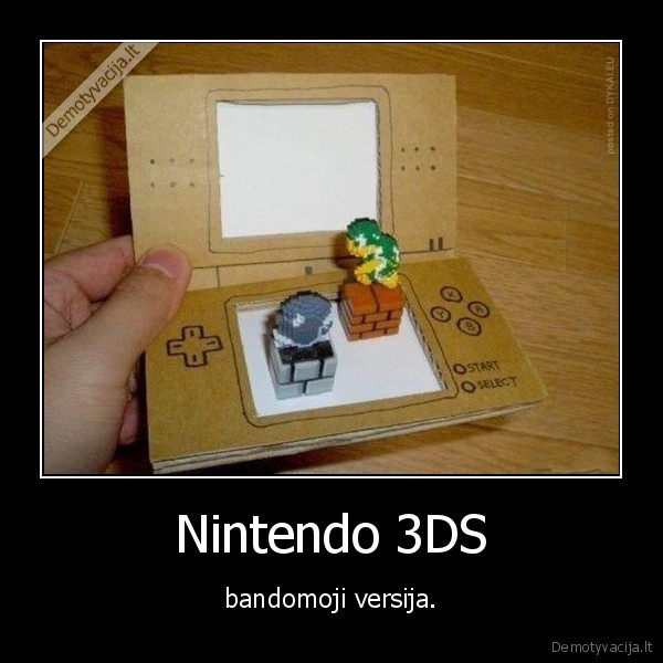 Nintendo 3DS