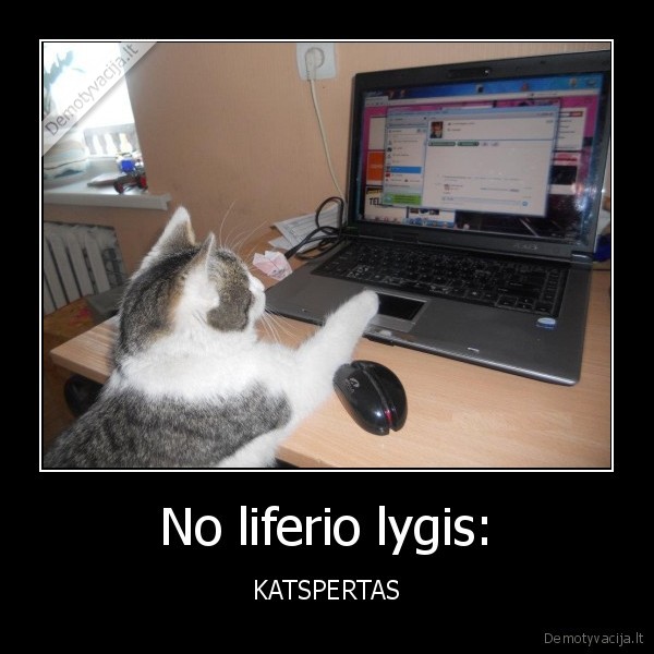 katisnas, no, lifina