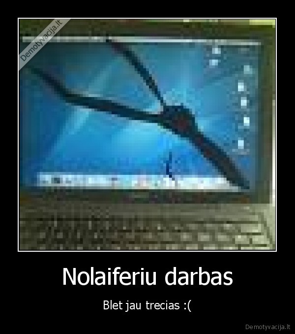 nolaiferis