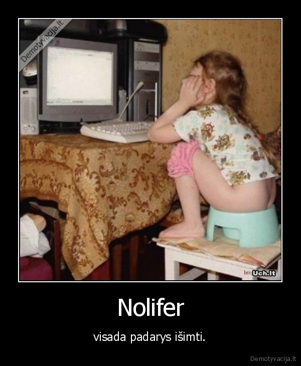 Nolifer