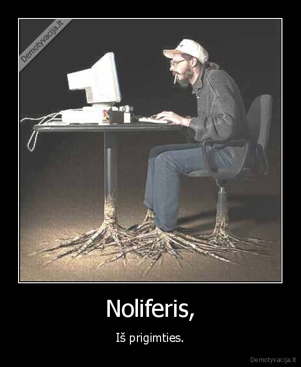 Noliferis,