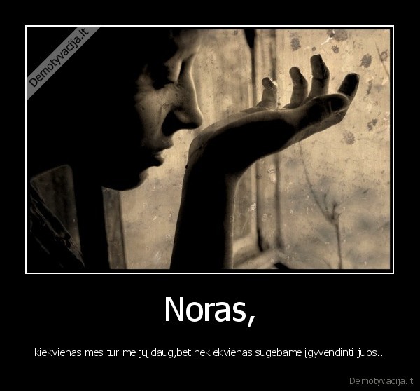 Noras,