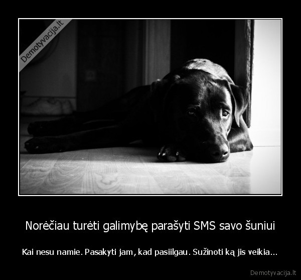 suo,geriausias, zmogaus, draugas,sms