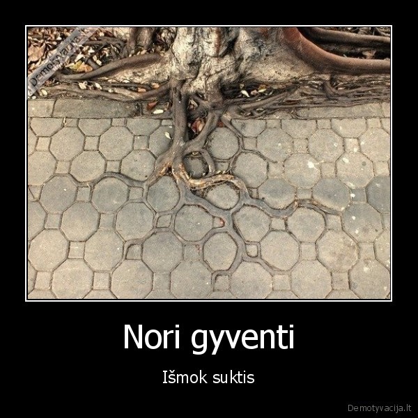 Nori gyventi