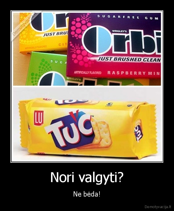 tuc,orbit,nori,valgyti