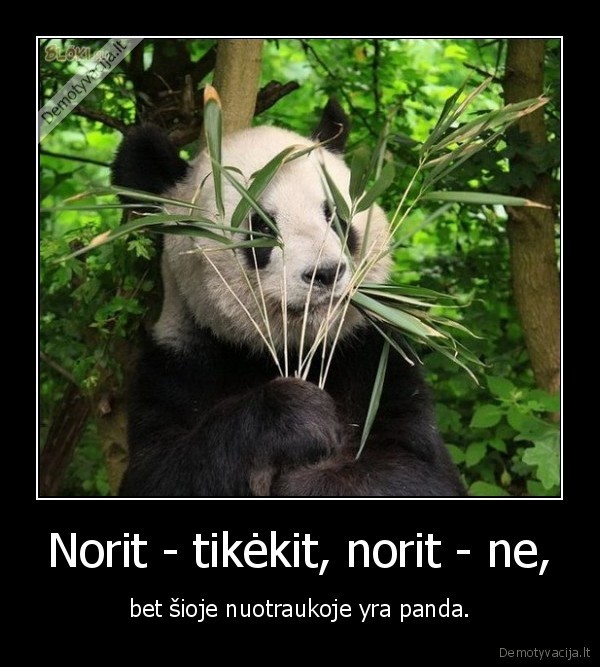 Norit - tikėkit, norit - ne,