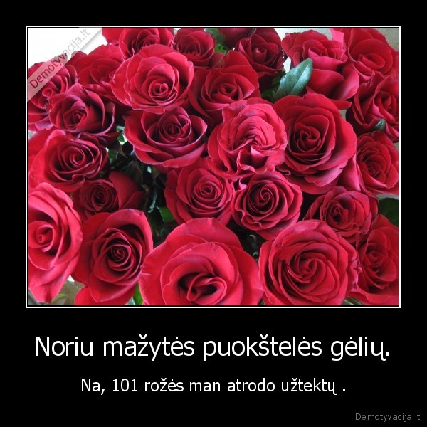 Noriu mažytės puokštelės gėlių.