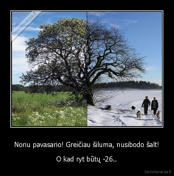 Noriu pavasario! Greičiau šiluma, nusibodo šalt!