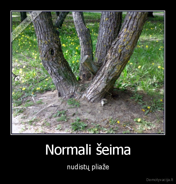 Normali šeima