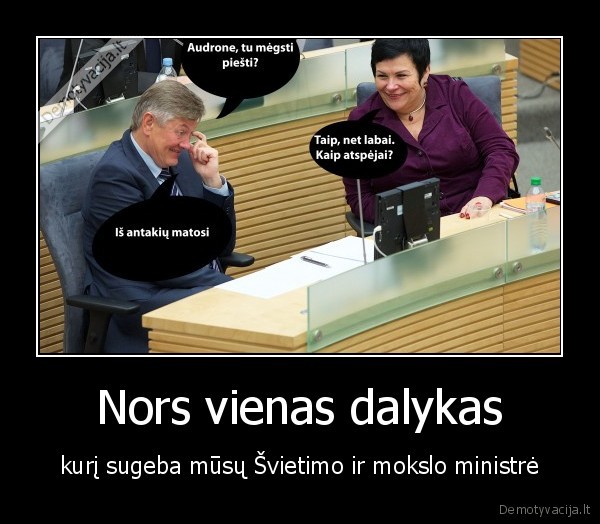 pitreniene,seimas,rinkimai,politika,vyriausybe