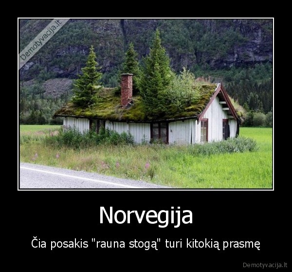 norvegija, rauna, stoga