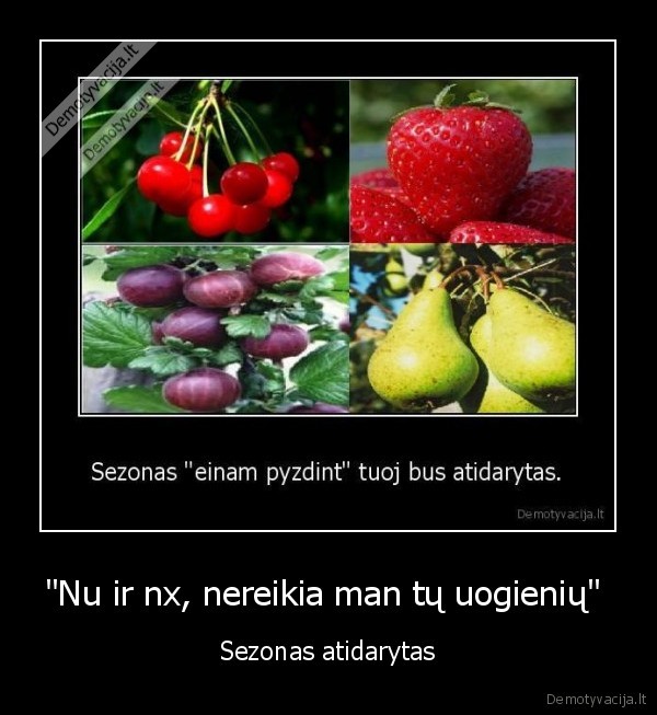 nu,ir,nx,nereikia,uogieniu,uogieniu