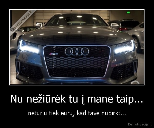 audi,ziuri