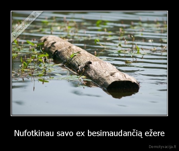 Nufotkinau savo ex besimaudančią ežere