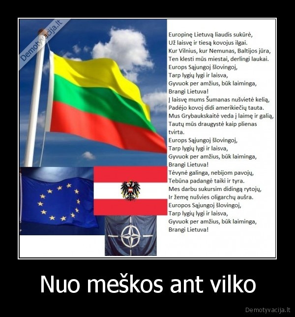 Nuo meškos ant vilko