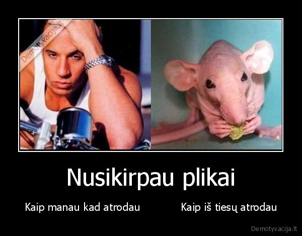 Nusikirpau plikai