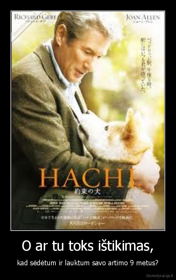 hachiko, the, dogs, story