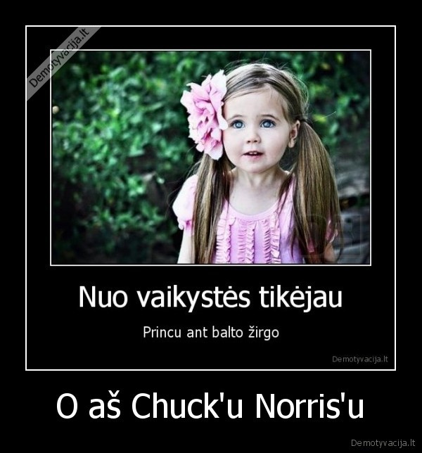 O aš Chuck'u Norris'u