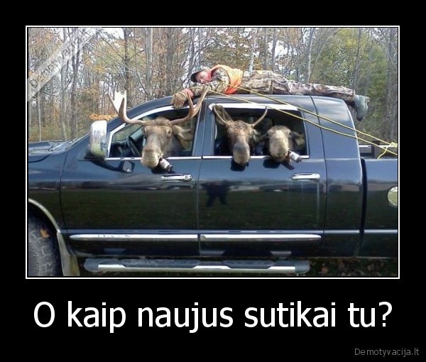 daug, kas, nepatiketu