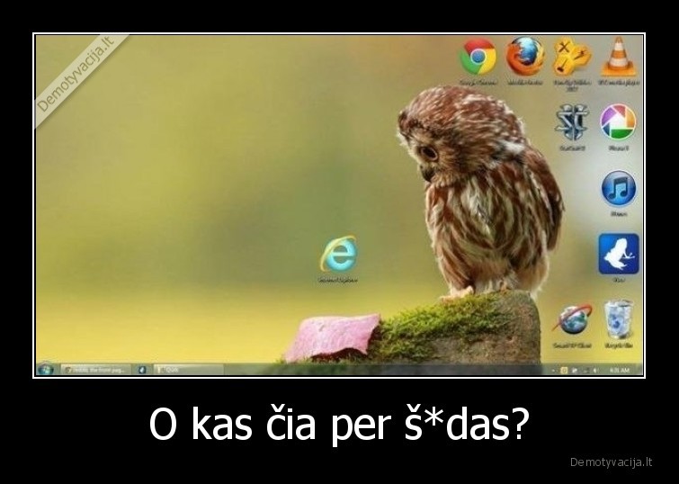 sudas,internet,explorer