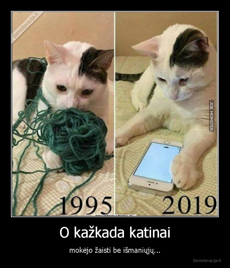 katinas,technologijos,zaidzia