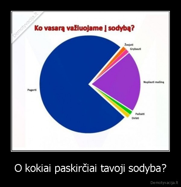 O kokiai paskirčiai tavoji sodyba?