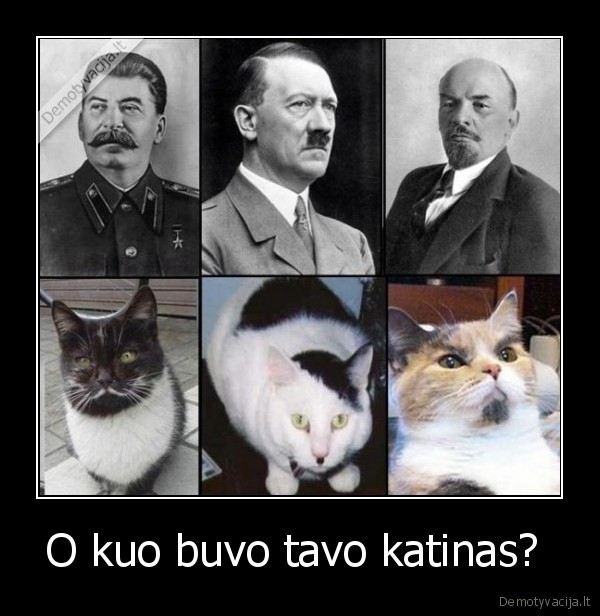 O kuo buvo tavo katinas? 