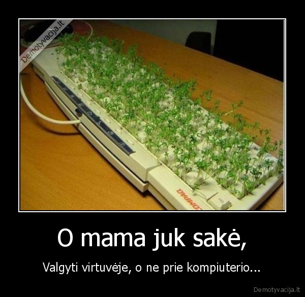 O mama juk sakė,